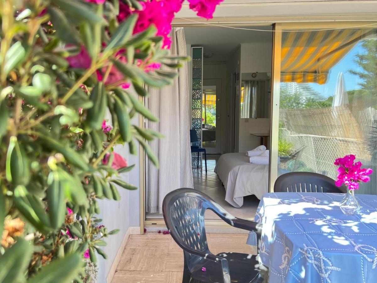 וילנב-לובה Blue Terrace Apartment - Marina Baie Des Anges מראה חיצוני תמונה